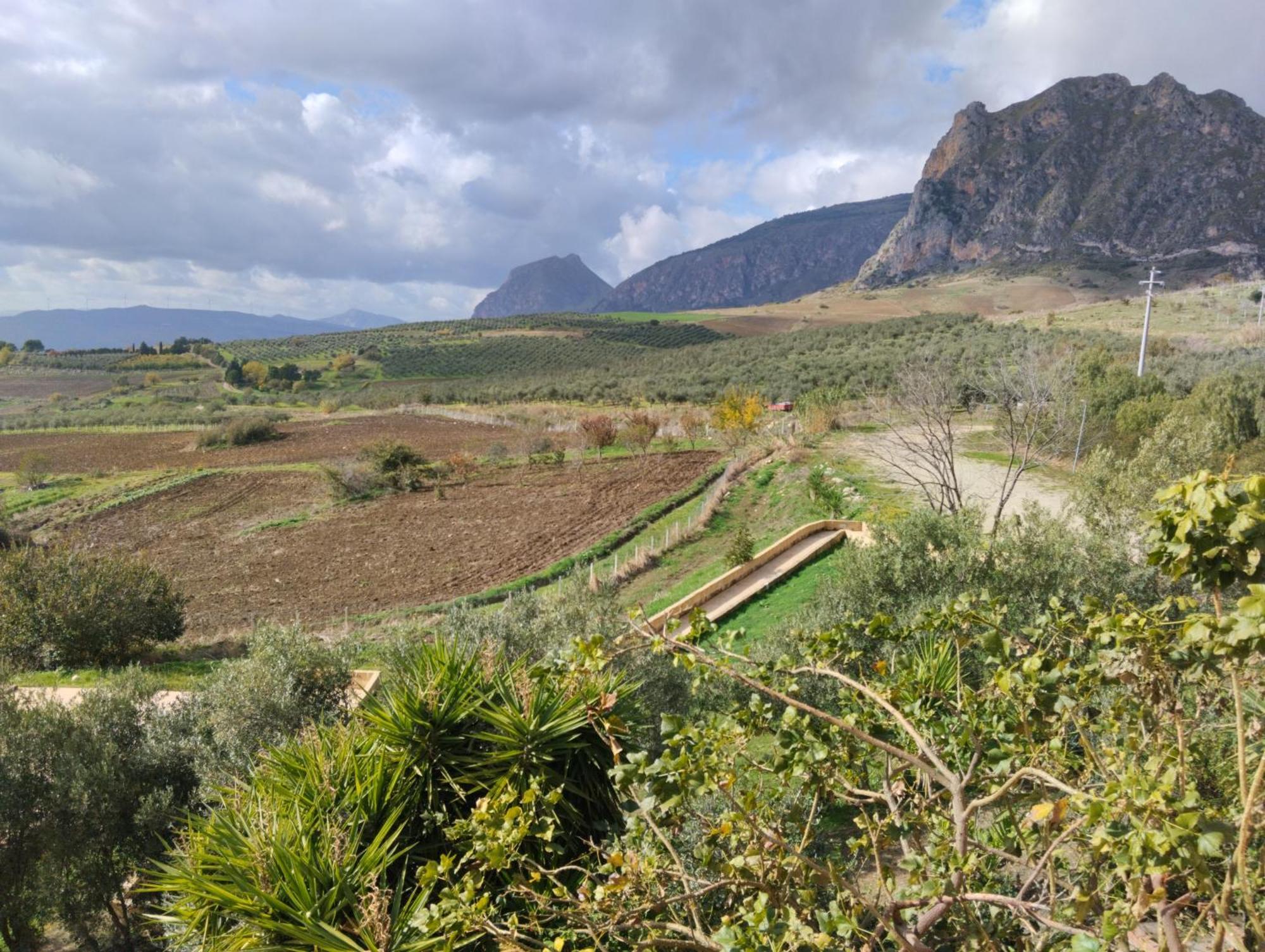 Agriturismo Masseria La Chiusa Villa San Giuseppe Jato Buitenkant foto